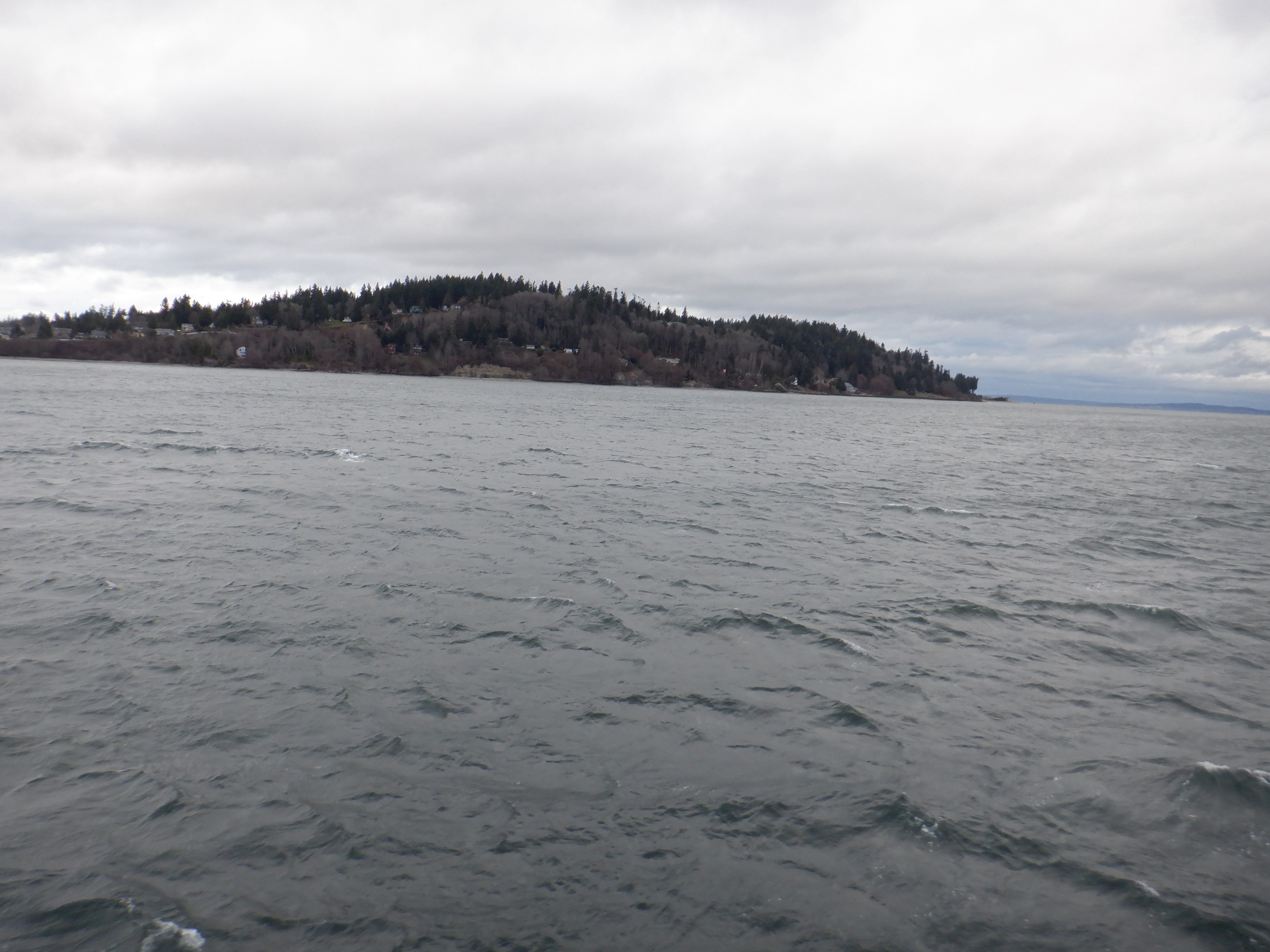 ./2020/03 - Seattle/AD_CF0949.JPG